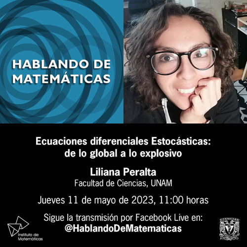 Ecuaciones diferenciales Estocásticas: de lo global a lo explosivo